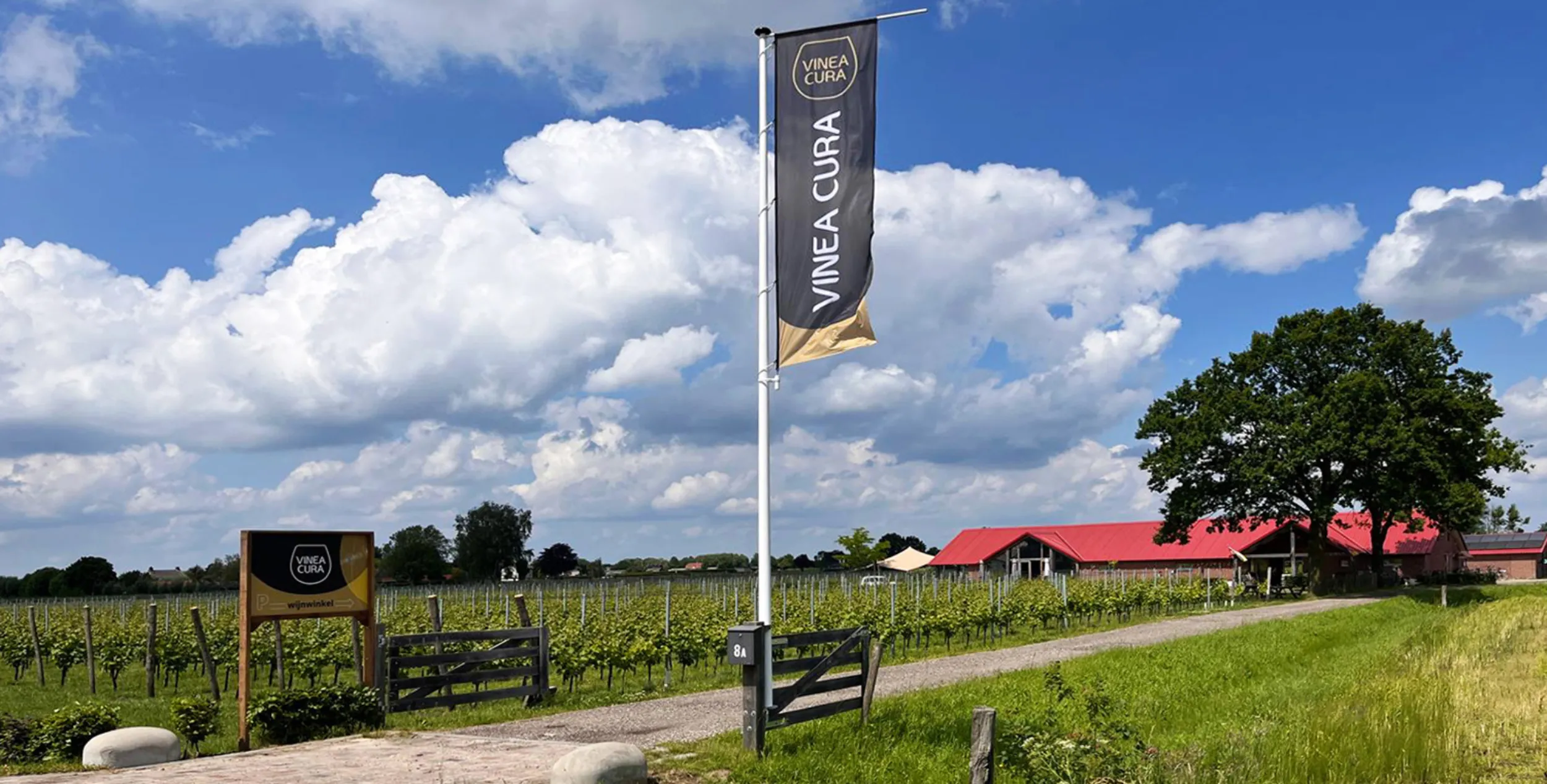 Vormgeving om van te watertanden.